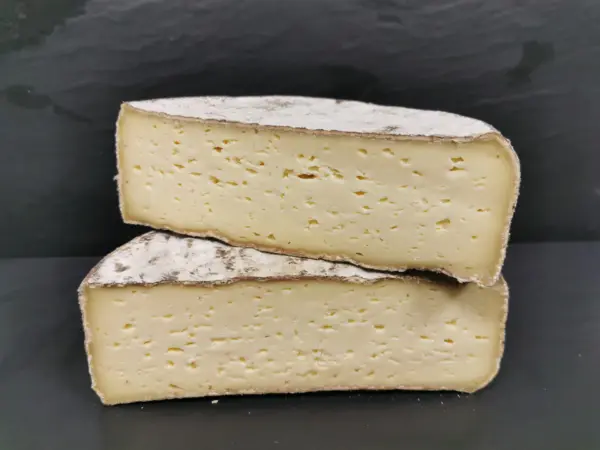 TOMME DE SAVOIE 48% GOJON